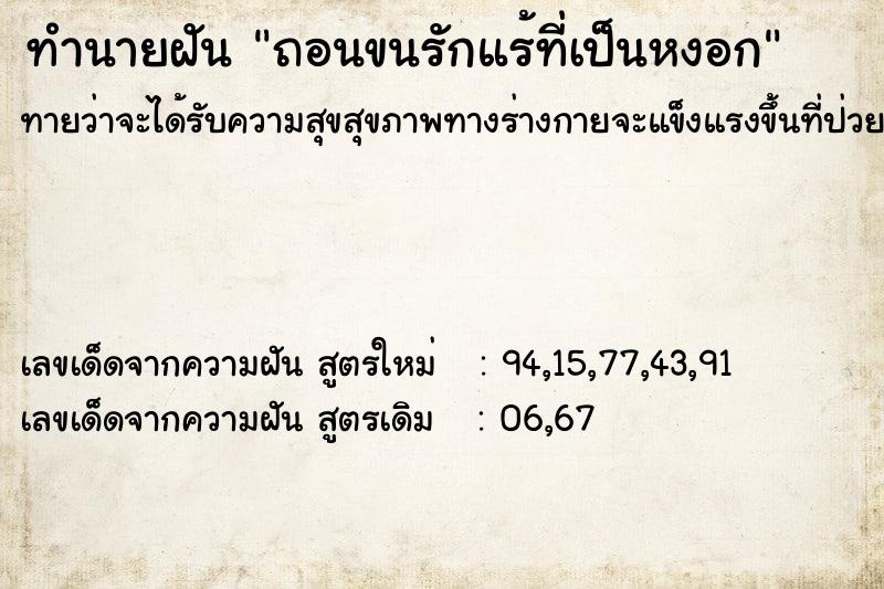 ทำนายฝันถอนขนรักแร้ที่เป็นหงอก ทำนายฝันทำนายฝันถอนขนรักแร้ที่เป็นหงอก
