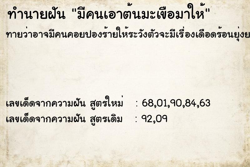 ทำนายฝันมีคนเอาต้นมะเขือมาให้ ทำนายฝันทำนายฝันมีคนเอาต้นมะเขือมาให้