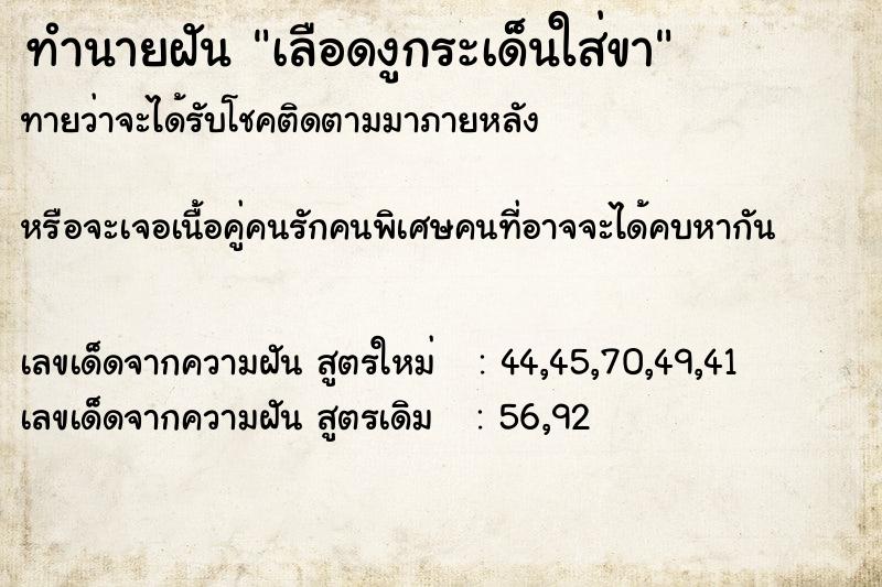 ทำนายฝันทำนายฝันเลือดงูกระเด็นใส่ขา