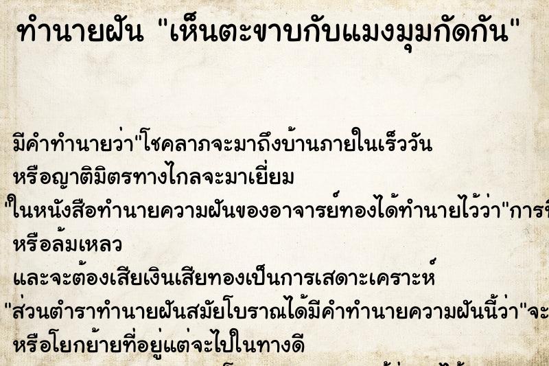 ทำนายฝัน เห็นตะขาบกับแมงมุมกัดกัน ทำนายฝัน เห็นตะขาบกับแมงมุมกัดกัน