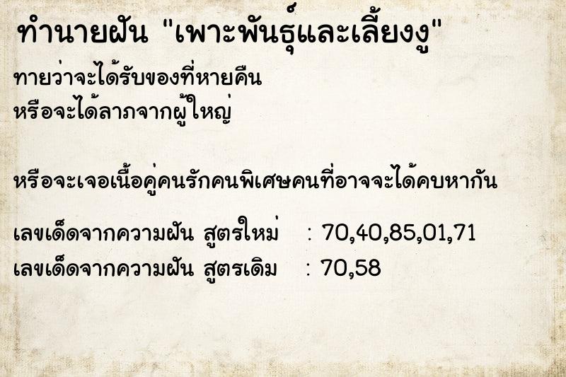 ทำนายฝันทำนายฝันเพาะพันธุ์และเลี้ยงงู