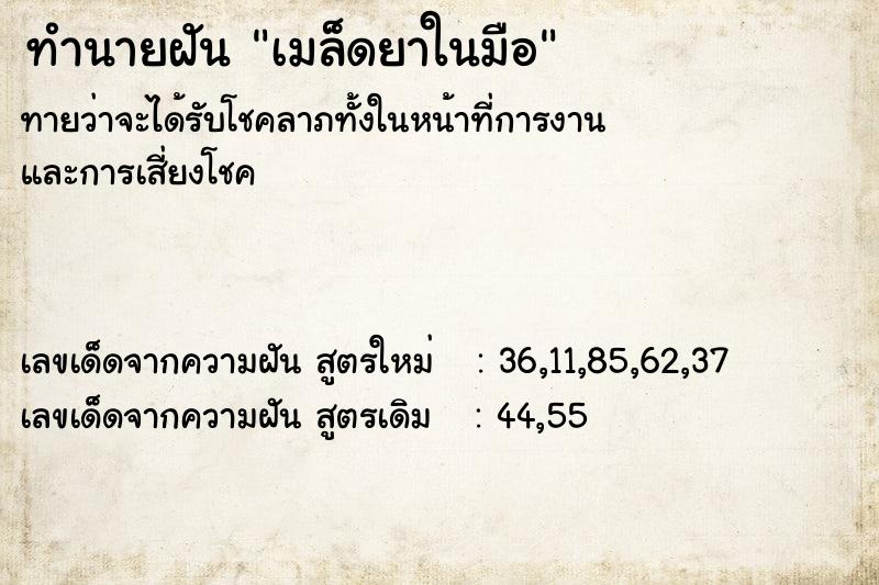 ทำนายฝันเมล็ดยาในมือ ทำนายฝันทำนายฝันเมล็ดยาในมือ