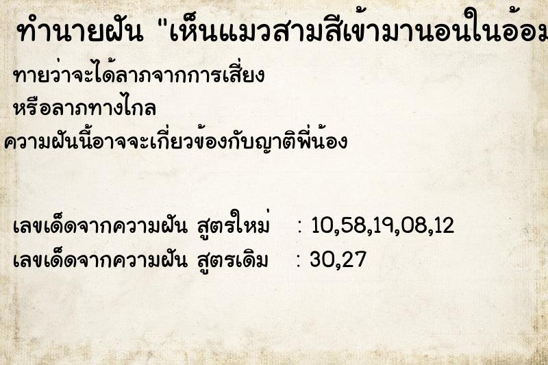 ทำนายฝันทำนายฝันเห็นแมวสามสีเข้ามานอนในอ้อมกอด