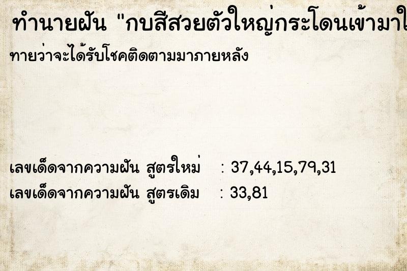 ทำนายฝันกบสีสวยตัวใหญ่กระโดนเข้ามาในบ้าน ทำนายฝันทำนายฝันกบสีสวยตัวใหญ่กระโดนเข้ามาในบ้าน