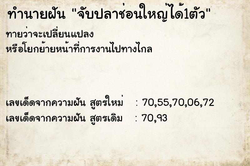 ทำนายฝันจับปลาช่อนใหญ่ได้1ตัว ทำนายฝันทำนายฝันจับปลาช่อนใหญ่ได้1ตัว