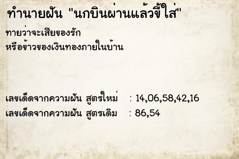 ทำนายฝันทำนายฝันนกบินผ่านแล้วขี้ใส่