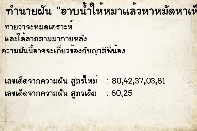 ทำนายฝันอาบน้ำให้หมาแล้วหาหมัดหาเห็บให้หมา ทำนายฝันทำนายฝันอาบน้ำให้หมาแล้วหาหมัดหาเห็บให้หมา