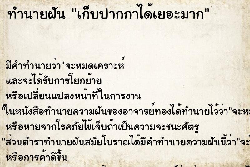 ทำนายฝันทำนายฝันเก็บปากกาได้เยอะมาก