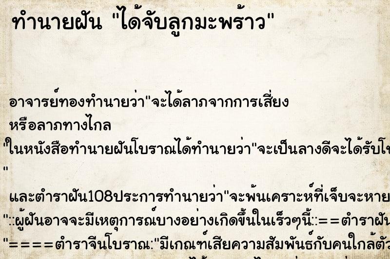 ทำนายฝัน ได้จับลูกมะพร้าว ทำนายฝัน ได้จับลูกมะพร้าว
