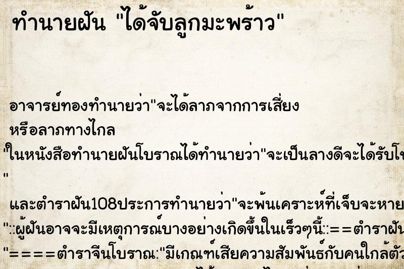 ทำนายฝัน ได้จับลูกมะพร้าว ตำราโบราณ แม่นที่สุดในโลก