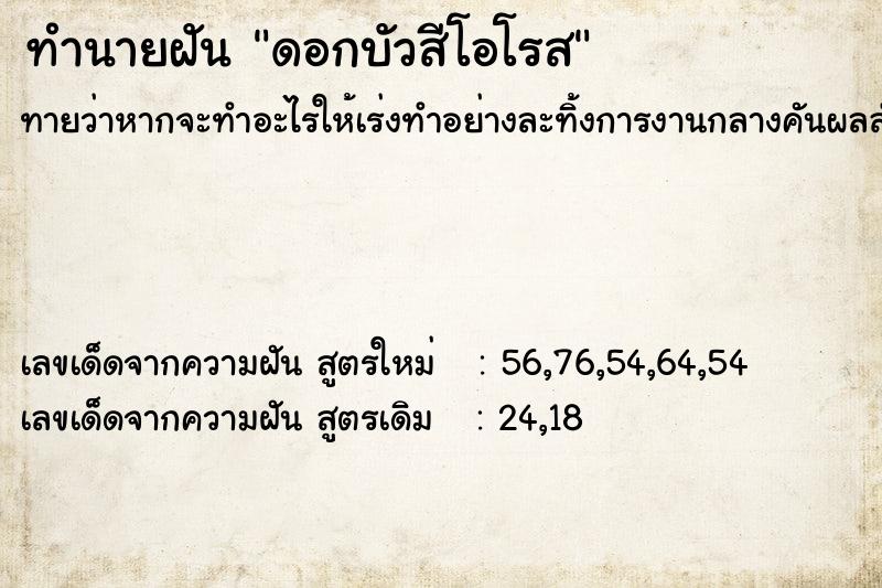 ทำนายฝัน ดอกบัวสีโอโรส ทำนายฝัน ดอกบัวสีโอโรส