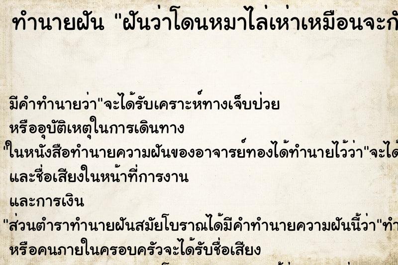 ทำนายฝัน ฝันว่าโดนหมาไล่เห่าเหมือนจะกัดแต่ไม่กัด ตำราโบราณ แม่นที่สุดในโลก