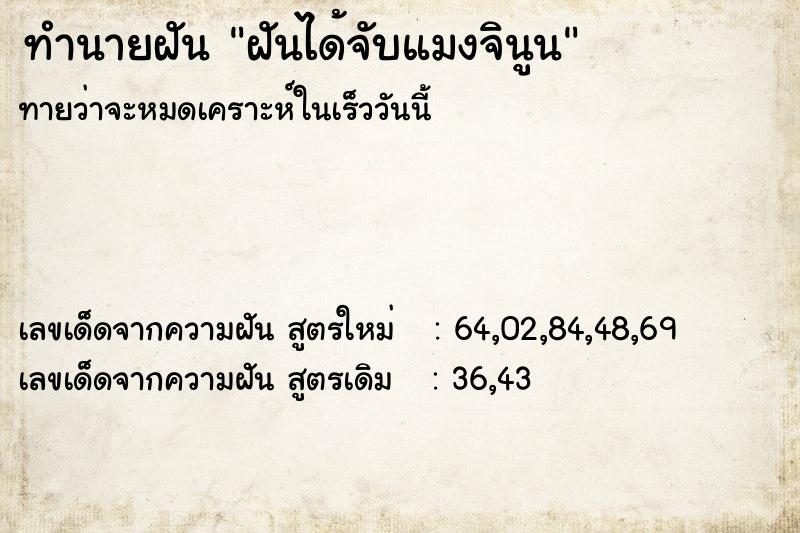 ทำนายฝันทำนายฝันฝันได้จับแมงจินูน