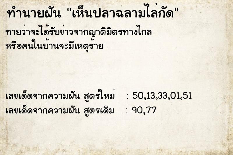 ทำนายฝัน เห็นปลาฉลามไล่กัด ทำนายฝัน เห็นปลาฉลามไล่กัด