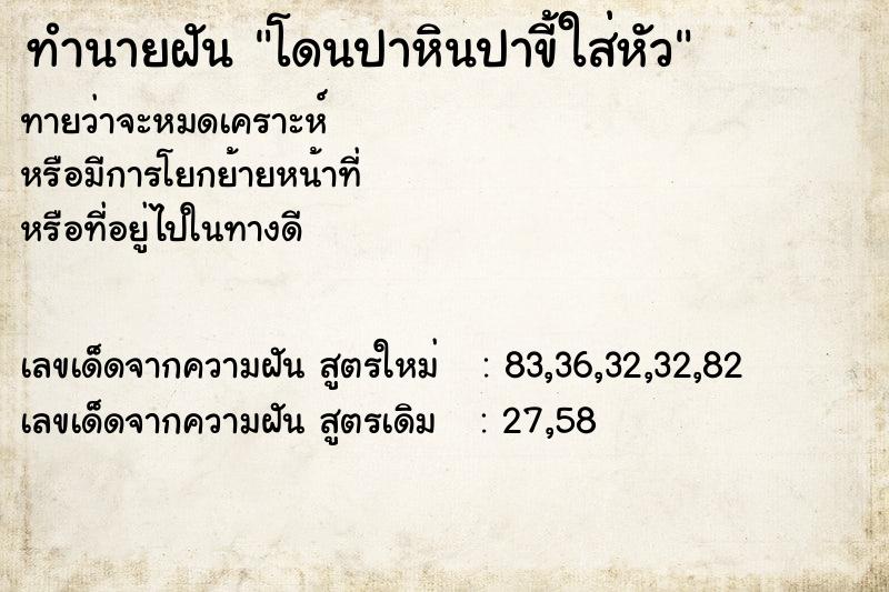 ทำนายฝันทำนายฝันโดนปาหินปาขี้ใส่หัว