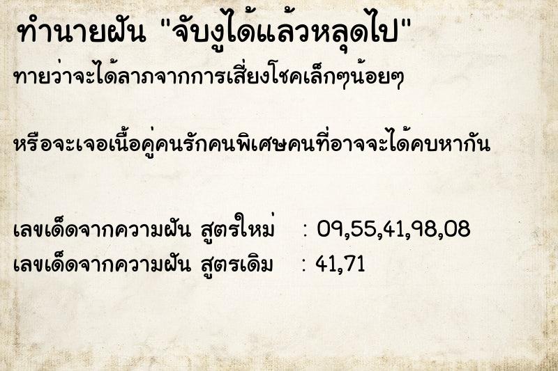 ทำนายฝันทำนายฝันจับงูได้แล้วหลุดไป