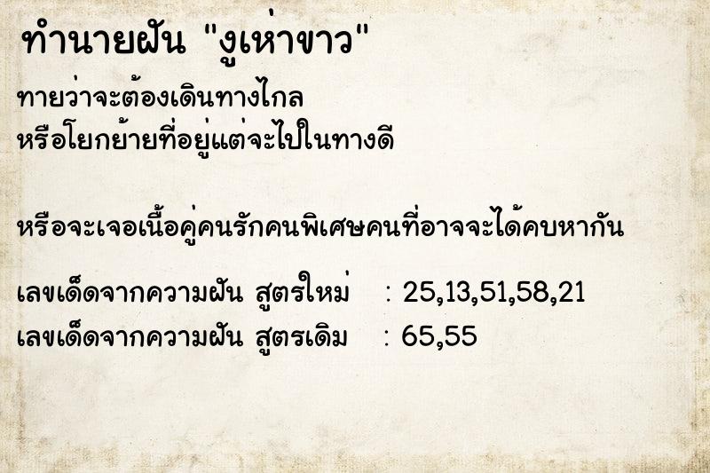 ทำนายฝันงูเห่าขาว ทำนายฝันทำนายฝันงูเห่าขาว