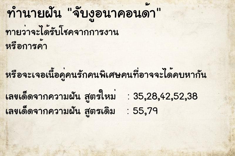 ทำนายฝัน จับงูอนาคอนด้า