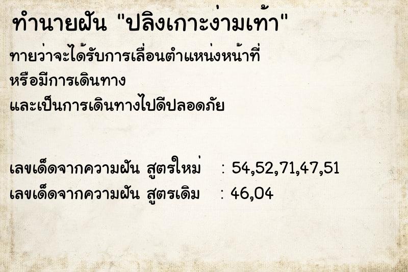 ทำนายฝัน ปลิงเกาะง่ามเท้า ทำนายฝัน ปลิงเกาะง่ามเท้า