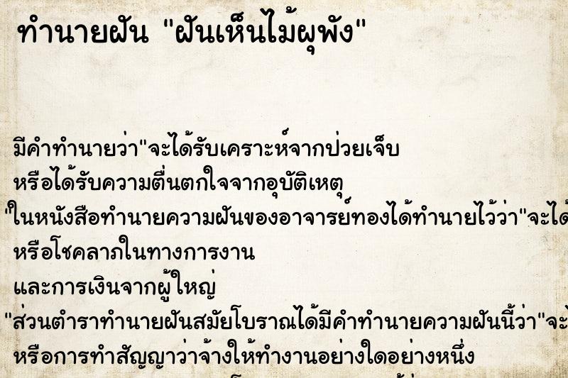 ทำนายฝัน ฝันเห็นไม้ผุพัง ตำราโบราณ แม่นที่สุดในโลก