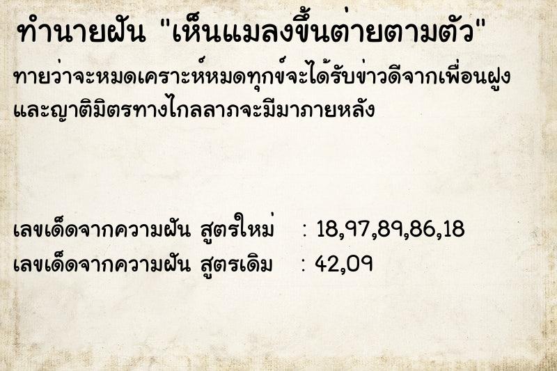 ทำนายฝันทำนายฝันเห็นแมลงขึ้นต่ายตามตัว