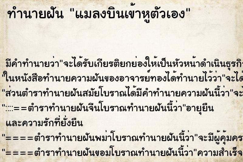 ทำนายฝัน แมลงบินเข้าหูตัวเอง ทำนายฝัน แมลงบินเข้าหูตัวเอง