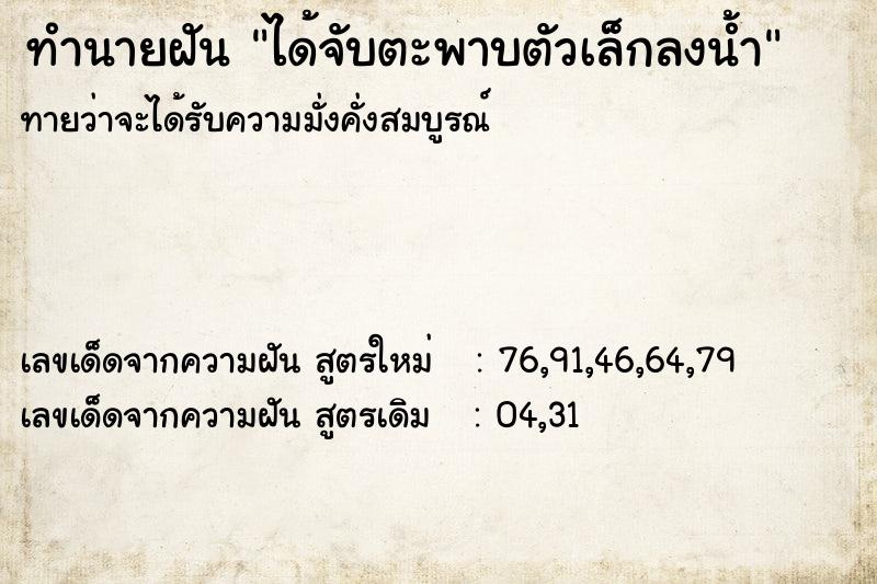 ทำนายฝันได้จับตะพาบตัวเล็กลงน้ำ ทำนายฝันทำนายฝันได้จับตะพาบตัวเล็กลงน้ำ