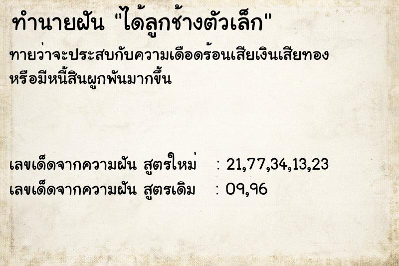 ทำนายฝันทำนายฝันได้ลูกช้างตัวเล็ก