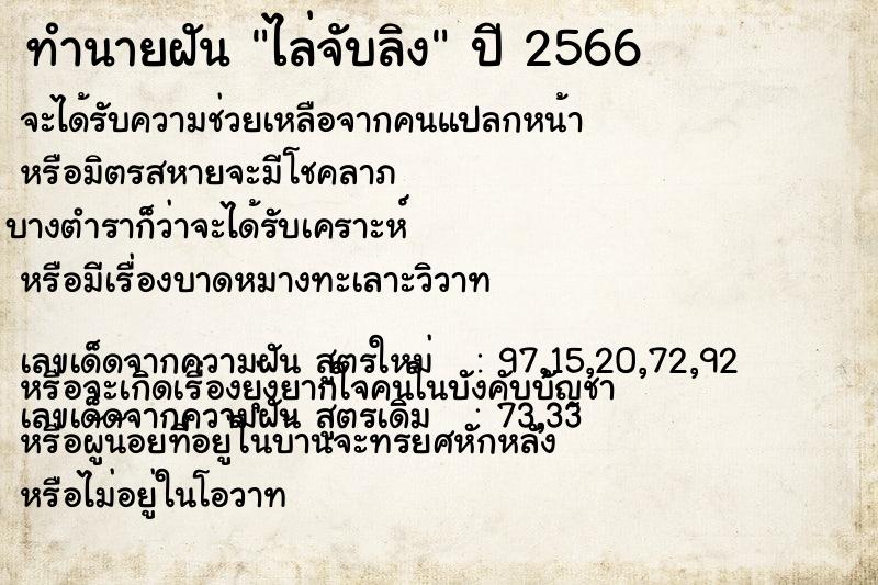 ทำนายฝัน ไล่จับลิง ทำนายฝัน ไล่จับลิง