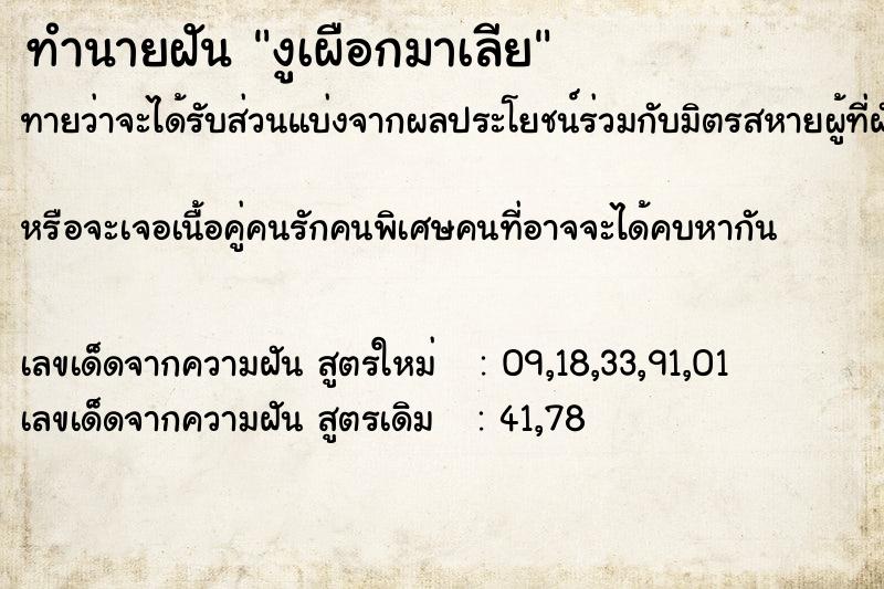 ทำนายฝันทำนายฝันงูเผือกมาเลีย