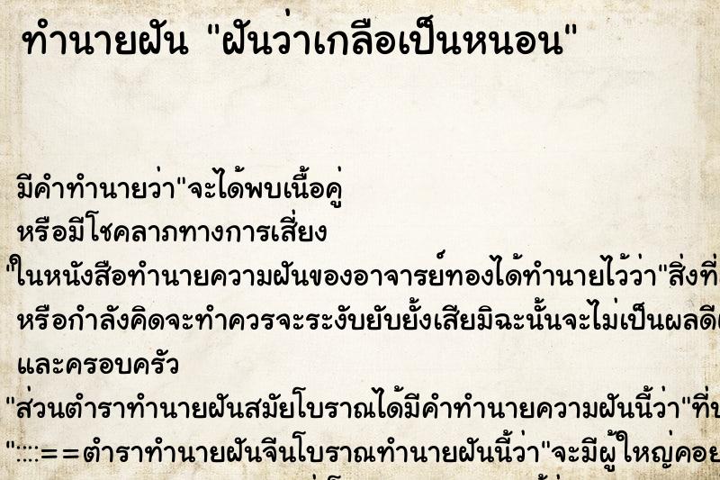 ทำนายฝัน ฝันว่าเกลือเป็นหนอน ตำราโบราณ แม่นที่สุดในโลก