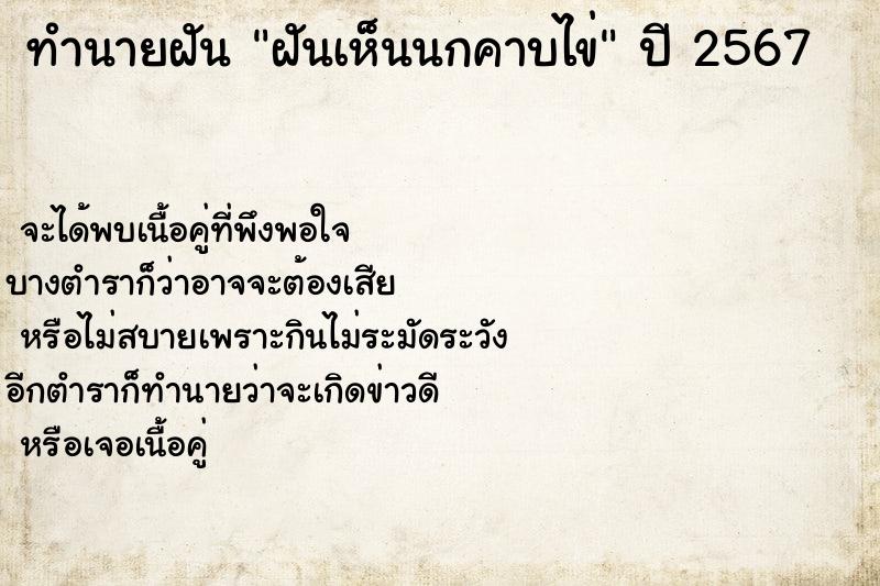 ทำนายฝันฝันเห็นนกคาบไข่ ทำนายฝันทำนายฝันฝันเห็นนกคาบไข่