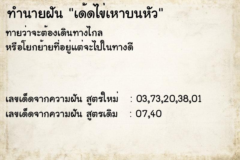 ทำนายฝันทำนายฝันเด้ดไข่เหาบนหัว