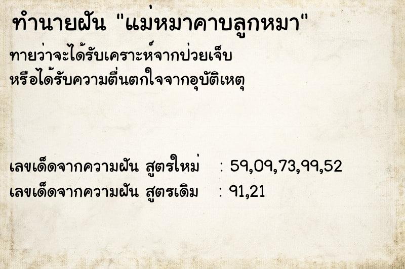 ทำนายฝัน แม่หมาคาบลูกหมา ทำนายฝัน แม่หมาคาบลูกหมา