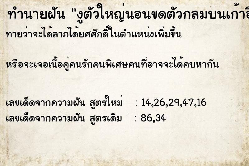 ทำนายฝันทำนายฝันงูตัวใหญ่นอนขดตัวกลมบนเก้าอี้2ตัว