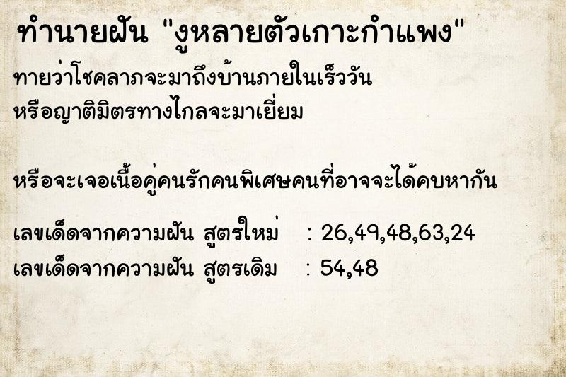 ทำนายฝันงูหลายตัวเกาะกำแพง ทำนายฝันทำนายฝันงูหลายตัวเกาะกำแพง