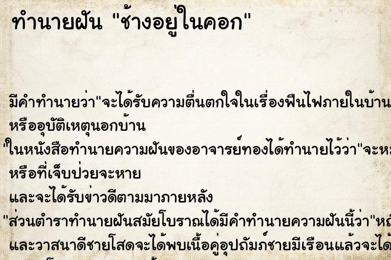 ทำนายฝันช้างอยู่ในคอก ทำนายฝันทำนายฝันช้างอยู่ในคอก