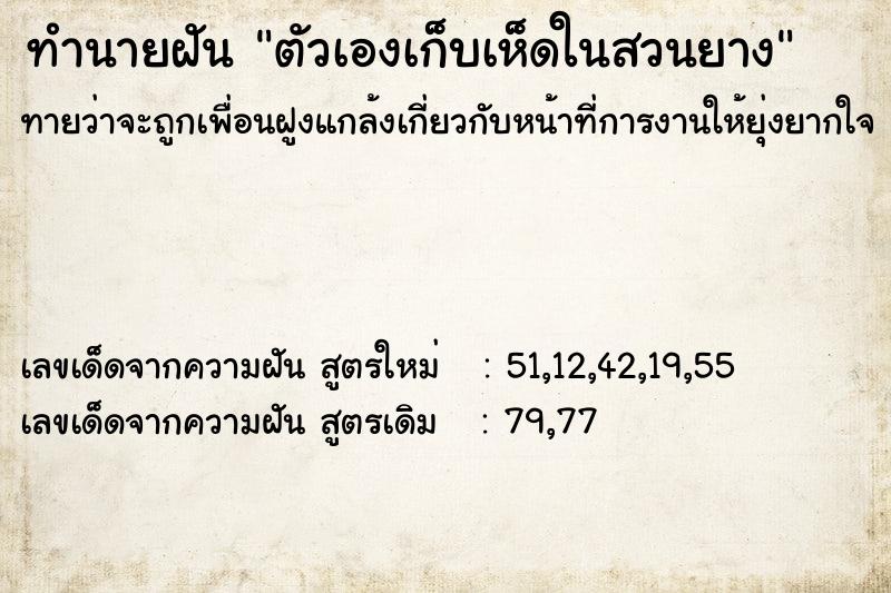 ทำนายฝันทำนายฝันตัวเองเก็บเห็ดในสวนยาง