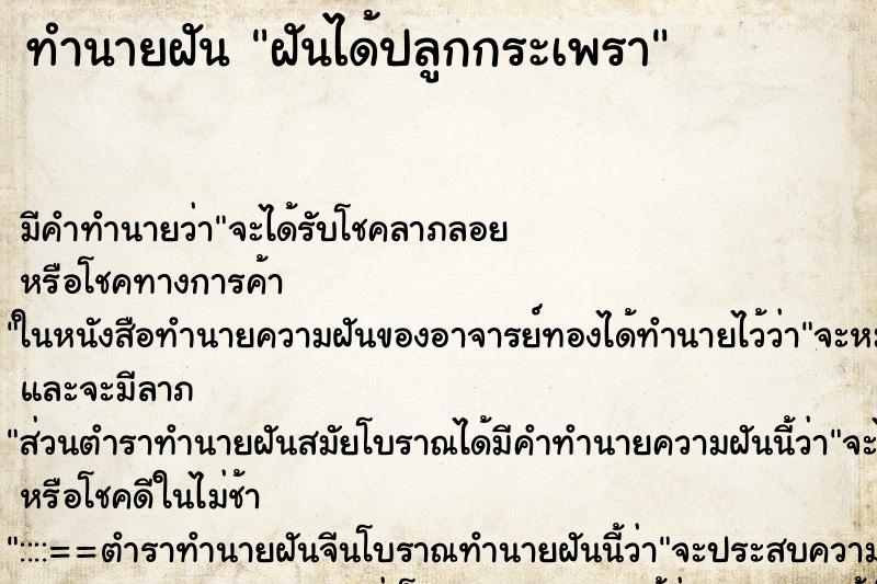 ทำนายฝัน ฝันได้ปลูกกระเพรา ทำนายฝัน ฝันได้ปลูกกระเพรา