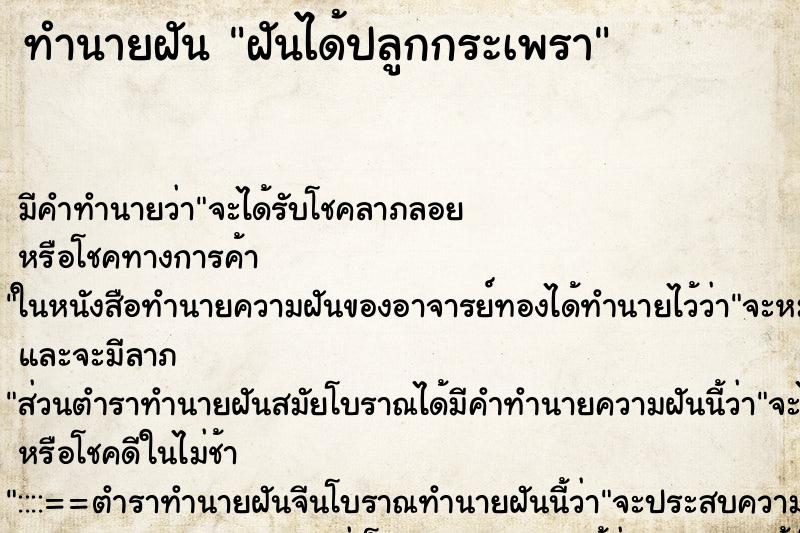 ทำนายฝัน ฝันได้ปลูกกระเพรา ตำราโบราณ แม่นที่สุดในโลก