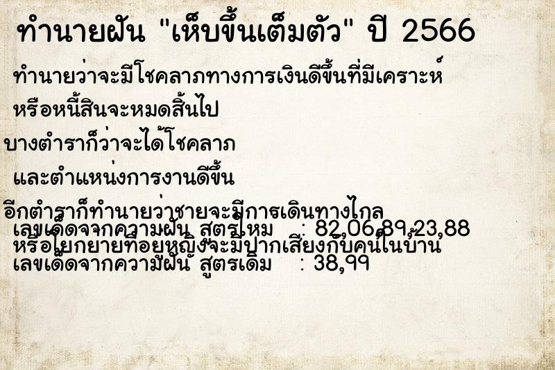 ทำนายฝัน เห็บขึ้นเต็มตัว ทำนายฝัน เห็บขึ้นเต็มตัว