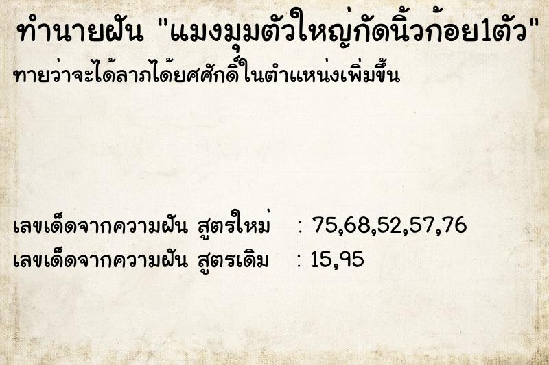 ทำนายฝันทำนายฝันแมงมุมตัวใหญ่กัดนิ้วก้อย1ตัว