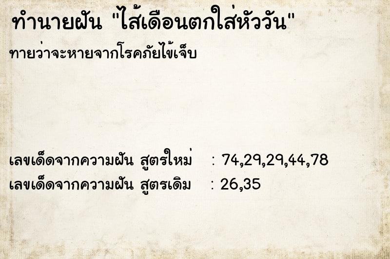 ทำนายฝันไส้เดือนตกใส่หัววัน ทำนายฝันทำนายฝันไส้เดือนตกใส่หัววัน