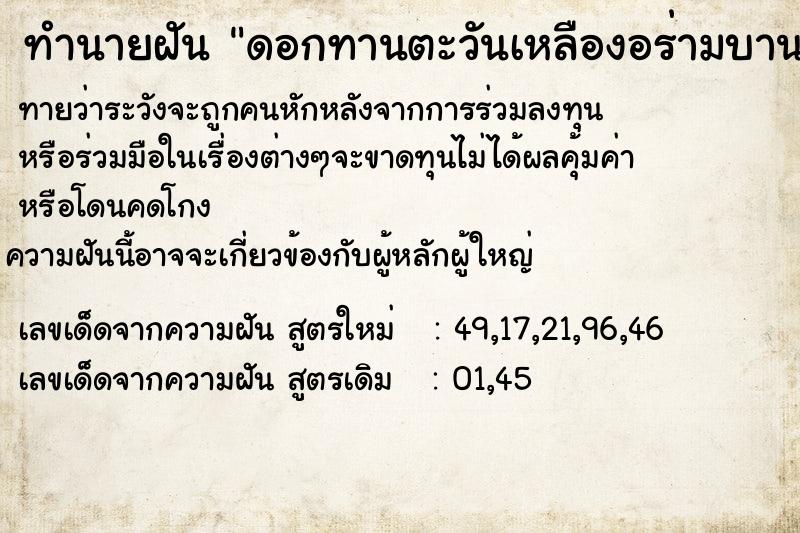 ทำนายฝัน ดอกทานตะวันเหลืองอร่ามบานเต็มต้น ทำนายฝัน ดอกทานตะวันเหลืองอร่ามบานเต็มต้น