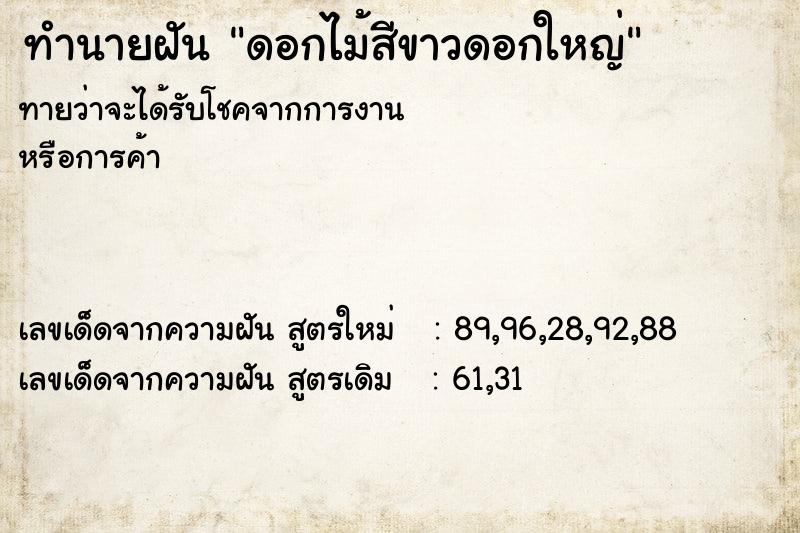 ทำนายฝันทำนายฝันดอกไม้สีขาวดอกใหญ่