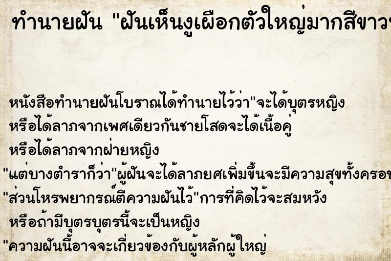 ทำนายฝันฝันเห็นงูเผือกตัวใหญ่มากสีขาวปนเหลืองทองนวล ทำนายฝันทำนายฝันฝันเห็นงูเผือกตัวใหญ่มากสีขาวปนเหลืองทองนวล