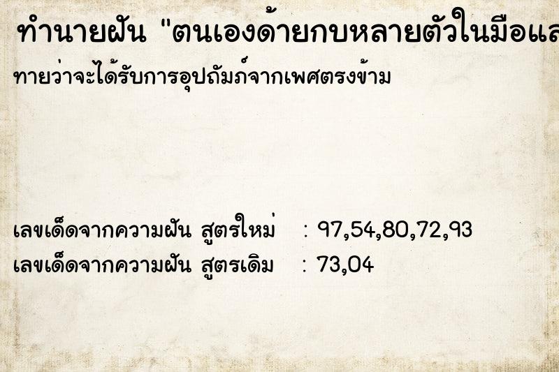 ทำนายฝันตนเองด้ายกบหลายตัวในมือและจับด้วย ทำนายฝันทำนายฝันตนเองด้ายกบหลายตัวในมือและจับด้วย