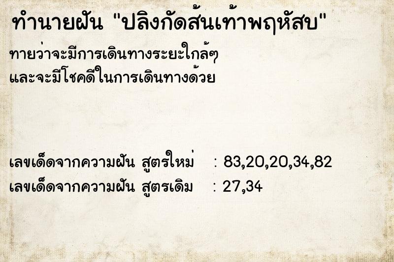 ทำนายฝันปลิงกัดส้นเท้าพฤหัสบ ทำนายฝันทำนายฝันปลิงกัดส้นเท้าพฤหัสบ