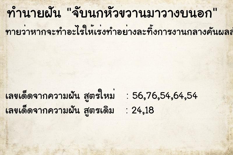 ทำนายฝันทำนายฝันจับนกหัวขวานมาวางบนอก