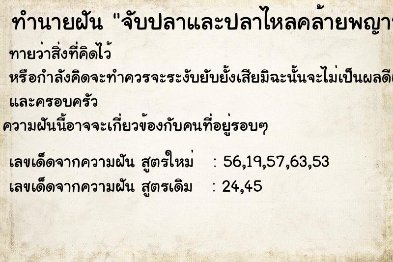 ทำนายฝันจับปลาและปลาไหลคล้ายพญานาค ทำนายฝันทำนายฝันจับปลาและปลาไหลคล้ายพญานาค